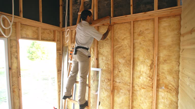 Best Garage Insulation  in South Haven, MI